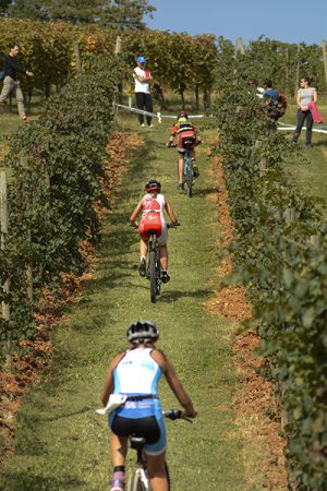 0596_Youth_BiciVigne